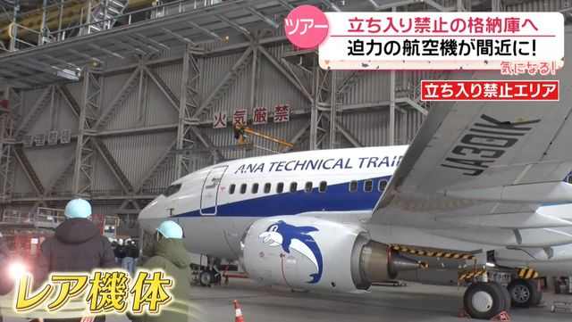 【密着】「立ち入り禁止」裏側に潜入!……ツアーが人気 国立競技場のトラックで選手気分 ANA格納庫にレア機も『every.気になる!』(日テレNEWS NNN)