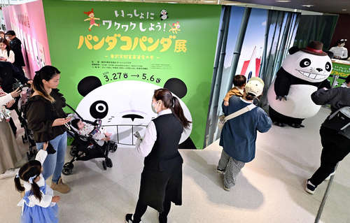 半世紀の時を経てパンダコパンダ人気再燃、演出の高畑勲さんは「楽しんで作っていた」…妻が語る制作の裏側(読売新聞オンライン)