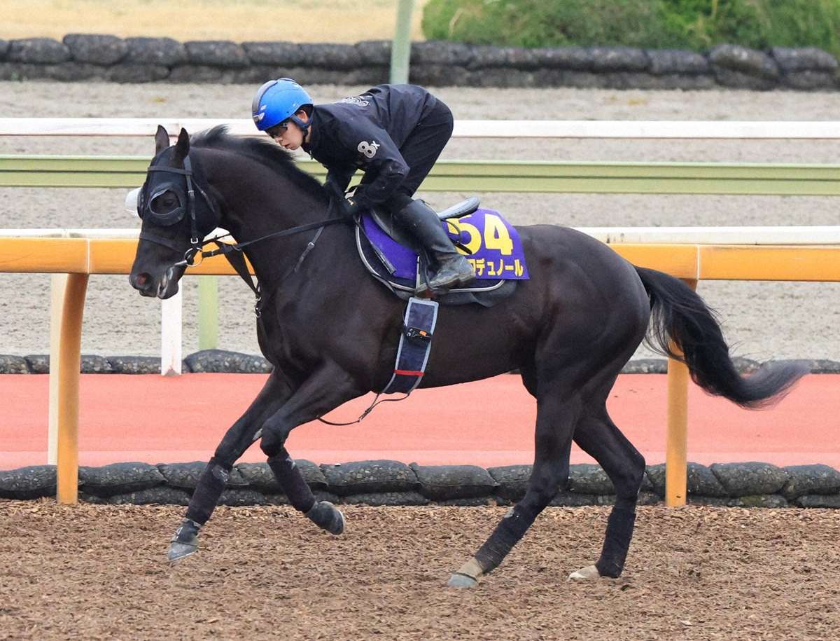 【大阪杯】クロワデュノールV！ダービー馬が完全復活　北村友「一番人気に応えられて良かった」（スポニチアネックス）