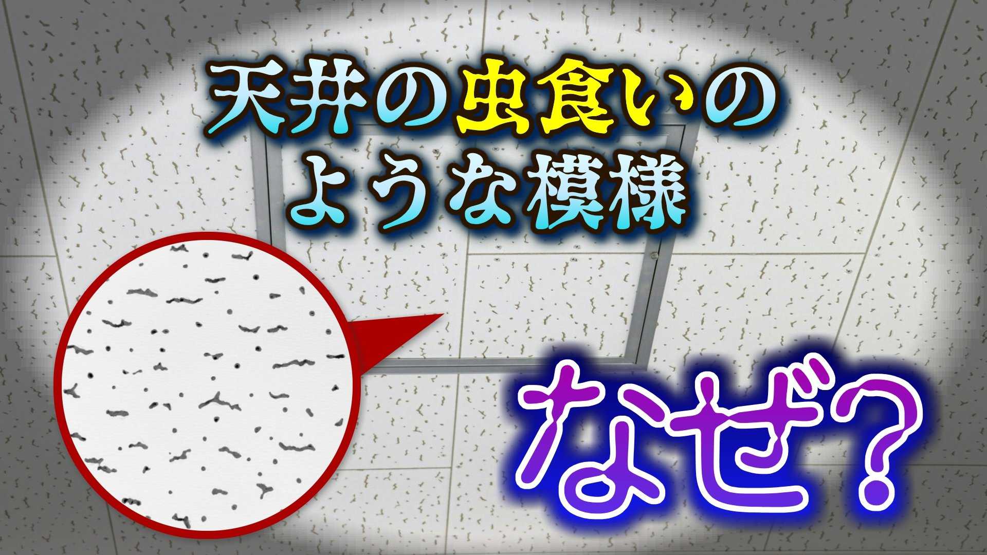 なぜ学校の天井は「虫食いのような模様」なの?半世紀以上も日本の建築を支える “ジプトーン” 奇妙な「点」に隠された機能性とは(チューリップテレビ)