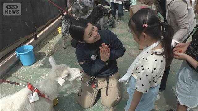 動物とのふれあい体験見直し広がる ストレス軽減が目的 学校での飼育も急減(テレビ朝日系(ANN))